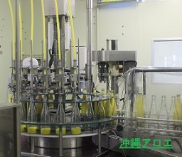 シークワーサー