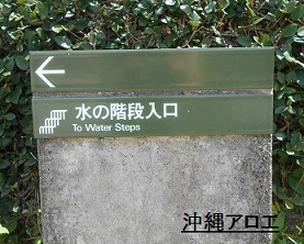 海洋博