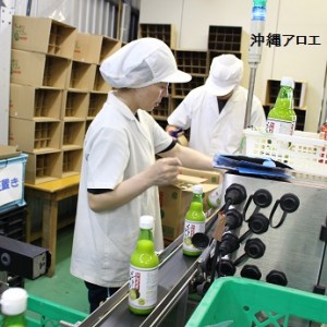 シークワーサー